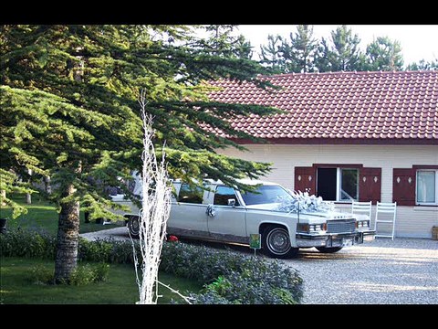 gelin arabamız, kiralık ,limuzin ,klasik arac,ankara vip kiralama