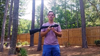 Best Budget .22 caliber air rifle SPA LB600