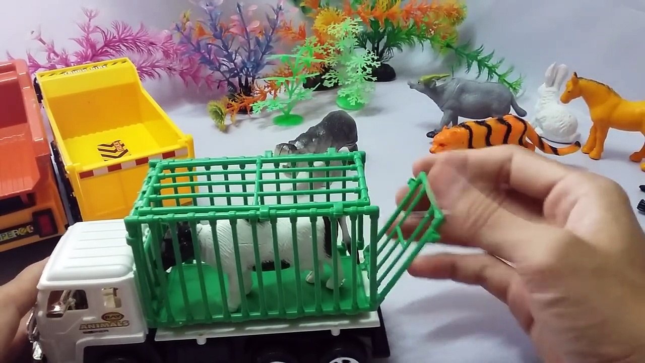 Learning Animals Names for Kids Learn Names of Animals for Children