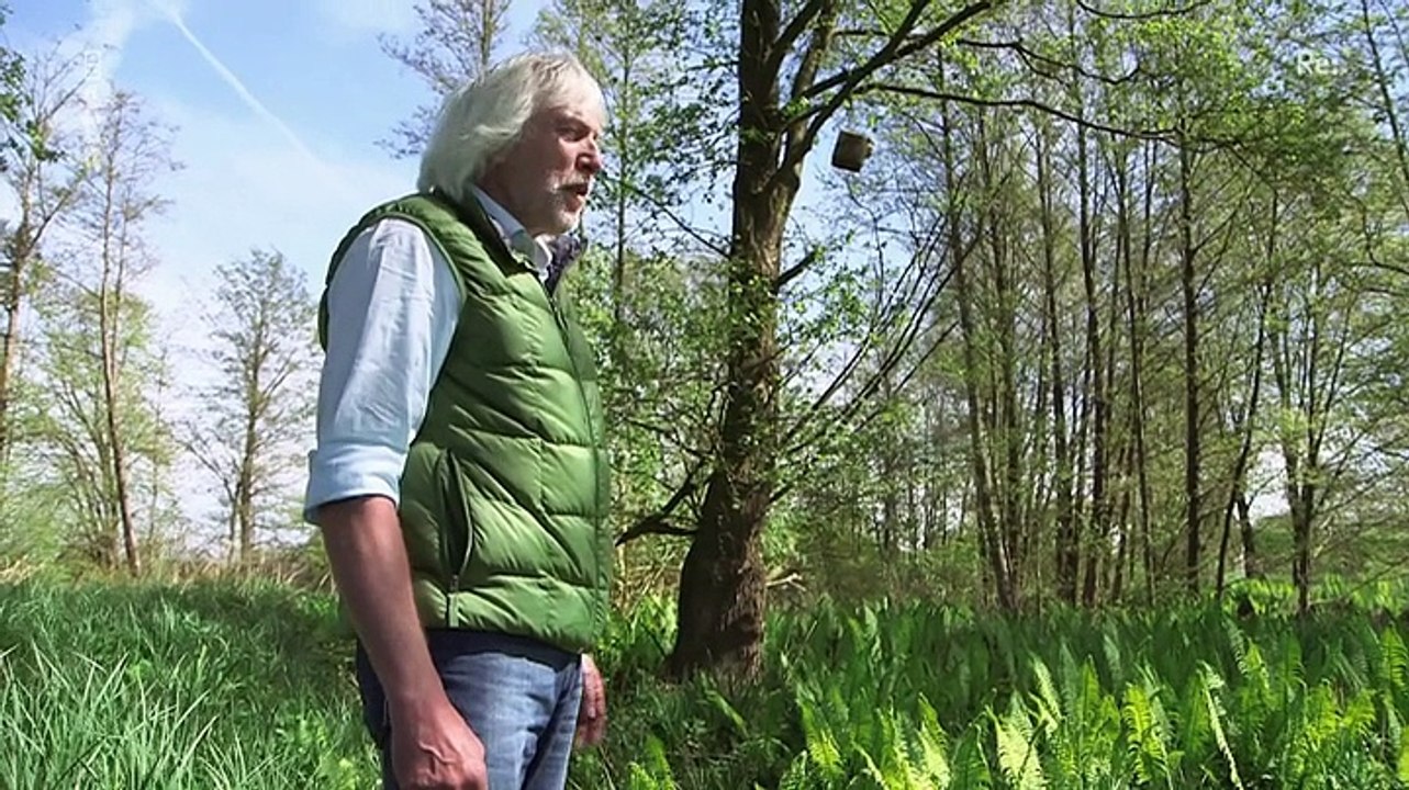 Re: Steuern für die Katz - Nicht nur Hunde sollen zahlen (Doku)