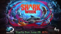 Обновление! Обзор #33 Новая Акула Большая Мамочка ! Hungry Shark World