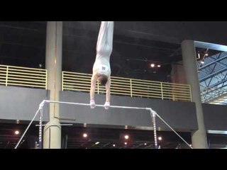 Joseph Hodges - High Bar - 2010 Winter Cup - Day 1