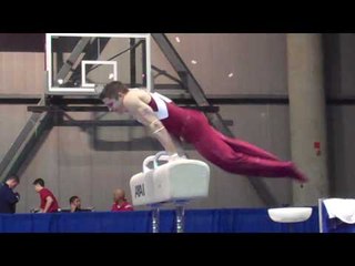 Chris Brooks - Pommel Horse - 2010 Winter Cup - Day 1