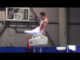Daniel Ribeiro - Pommel Horse - 2010 Winter Cup - Day 1