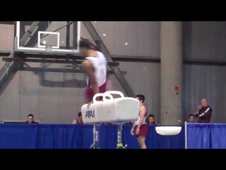 Joshua Dixon - Pommel Horse - 2010 Winter Cup - Day 1