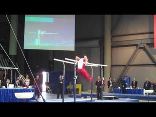 Allan Malone - Parallel Bars - 2010 Winter Cup - Day 1