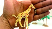 Zoo Safari Wild Animals Finger Family Nursery Rhyme with Safari Ltd Toys/Kids Fun Learning with Toys