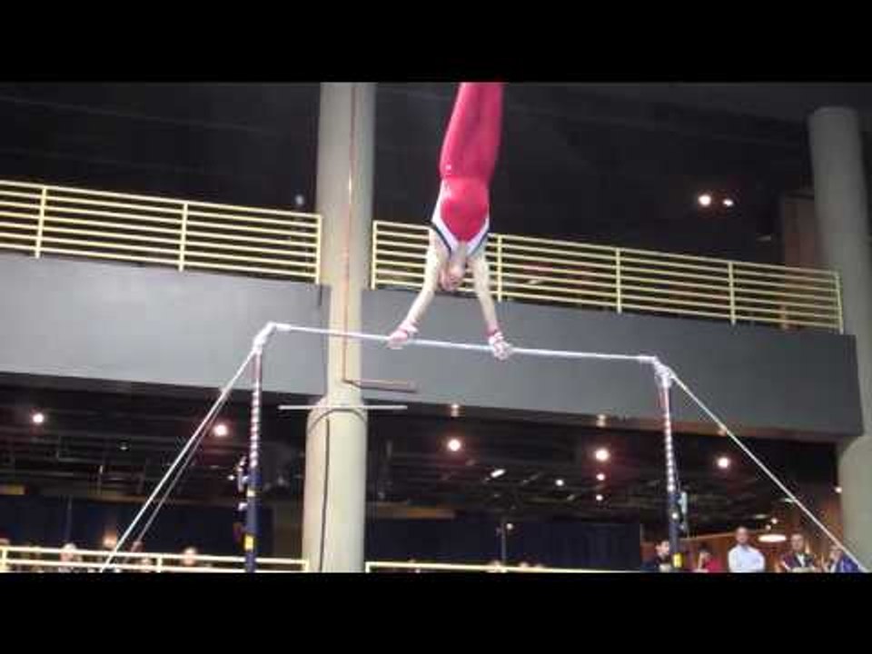 Daniel Potemski - High Bar - 2010 Winter Cup - Day 1