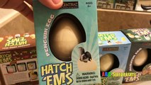 Hatch Em Surprise Egg Growing Pets & RYAN Dinosaur Penguin Alligator Turtle Kids Toys ABC Surprises