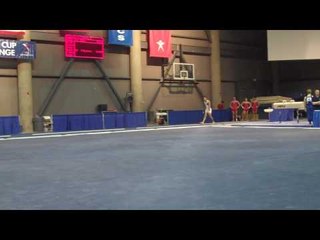 Edward Mesa - Vault - 2010 Winter Cup - Day 1