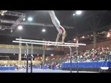 Seung Tai Lee - Parallel Bars - 2010 Winter Cup - Day 1