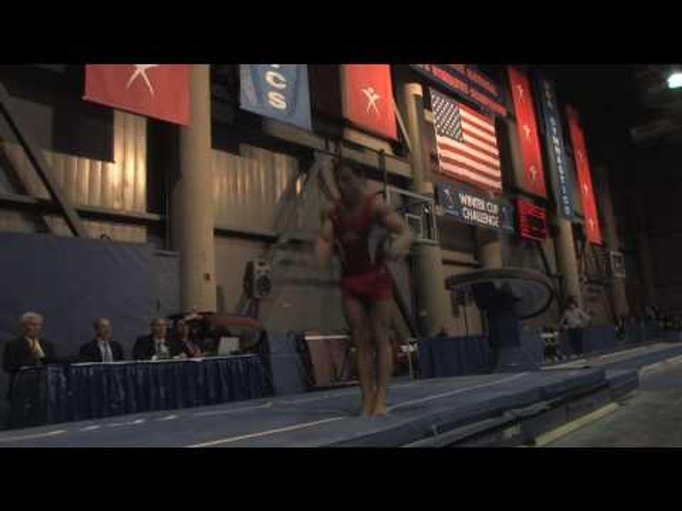 Brandon Wynn - Vault - 2010 Winter Cup - Day 2