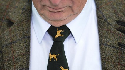 "L'AfD est un défi pour la démocratie"