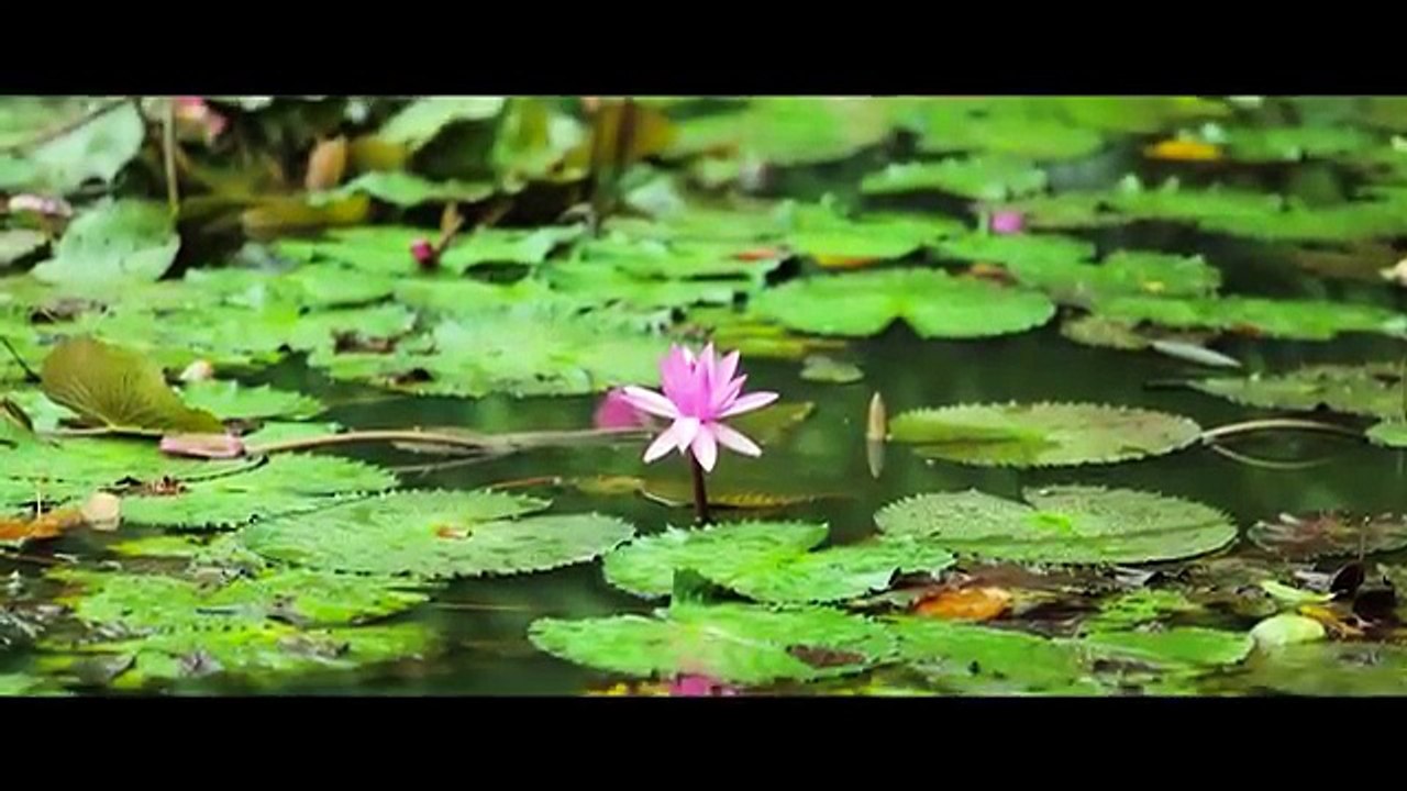 Aval Saraswathy | Malayalam Romantic Music Video | Rishi S Das, Renjith V P, Sinov Raj | Official