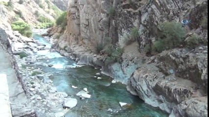 Sürü Psikolojisi Uçuruma Sürükledi 120 Keçi Telef Oldu