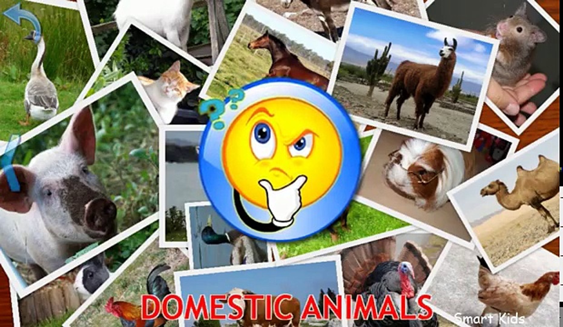 ⁣Animals for Kids | Domestic Animals for Kids | Learn Animals | Animals in English