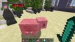 Minecraft: RAGDOLL DEATH ANIMATION (Zombies, Pigs, Skeletons & Creepers) Mod Showcase