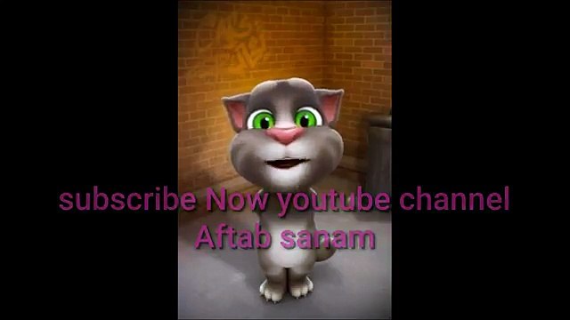 Cat taking jokes Hindi fully funny video cat taking How to taking cat funny jokes video bh