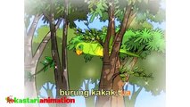 Burung Kakak Tua - Taman Kanak Kanak - Bentuk dan Warna | Medley | Kastari Animation Official