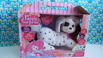 Puppy Surprise Gigi the Dalmatian Dog Toy- How Many Puppies Will She Have?