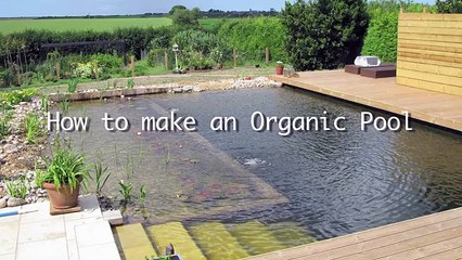 How to build a Natural Pool - DIY Organic Pool build