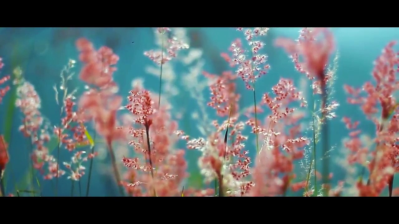 Travel to Sri Lanka with Srilanka Classy Tours