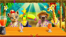 Fun Animal Pet Care - Bath Makeup Dress Up Kids Games - Jungle Animal Hair Salon