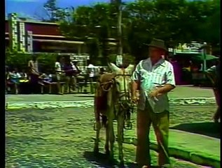 Nezinho do Jeque - Só o burro não toma Castaniodo