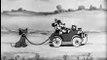 Walt Disneys Mickey Mouse: The Picnic (1930)