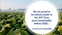 British American Tobacco is the Tobacco Industry Leader in the 2017 Dow Jones Sustainability Indices (DJSI)