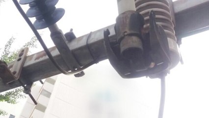 천6백 세대 아파트 정전..."청설모 때문" / YTN