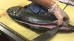 Amazing...Skill cutting Fish | Filleting FISH