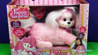 PUPPY SURPRISE ZOEY PUPPIES SURPRISE YouTube Toy Review