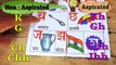 Hindi Consonant Alphabets - all 36 Letters - Learn Hindi with Childrens Book 2