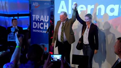 獨 의회 첫 입성 극우 정당 '벌써 내분'...공동대표 탈당 선언 / YTN