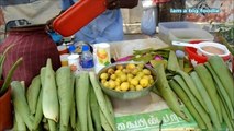 unique Indian street food ever..!! -Aloe Vera Juice.!!!!!|aloe vera health benefits