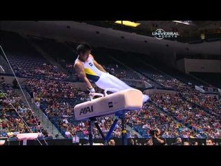Glen Ishino - Pommel Horse - 2010 Visa Championships - Men - Day 2