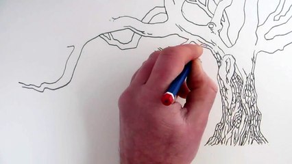 How To Draw A Tree: Narrated step by step