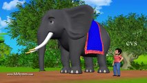 Elly the Elephant - 3D Animation English Nursery rhyme for children