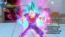 Vegito with (transformation Super Saiyan 1-2-3-God-Blue and KaioKen) Xenoverse 2 Mods