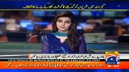 Shadi pe Gadhey Ka Gosht? Alarming Situation