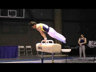 Glen Ishino - Pommel Horse - 2011 Winter Cup Challenge Day 1