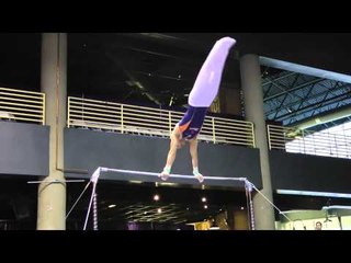 Paul Ruggeri - High Bar - 2011 Winter Cup Challenge Day 1