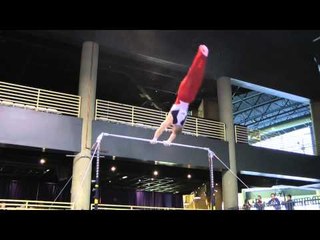 Steven Legendre - High Bar - 2011 Winter Cup Challenge Day 1