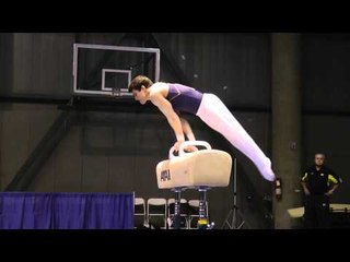 Thomas Kelley - Pommel Horse - 2011 Winter Cup Challenge Day 1