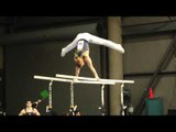 Chris Cameron - Parallel Bars - 2011 Winter Cup Challenge Day 1