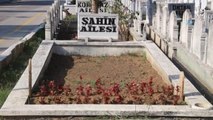 Bu Şehirde Organ Bağışlayanlara Mezar Yeri Ücretsiz