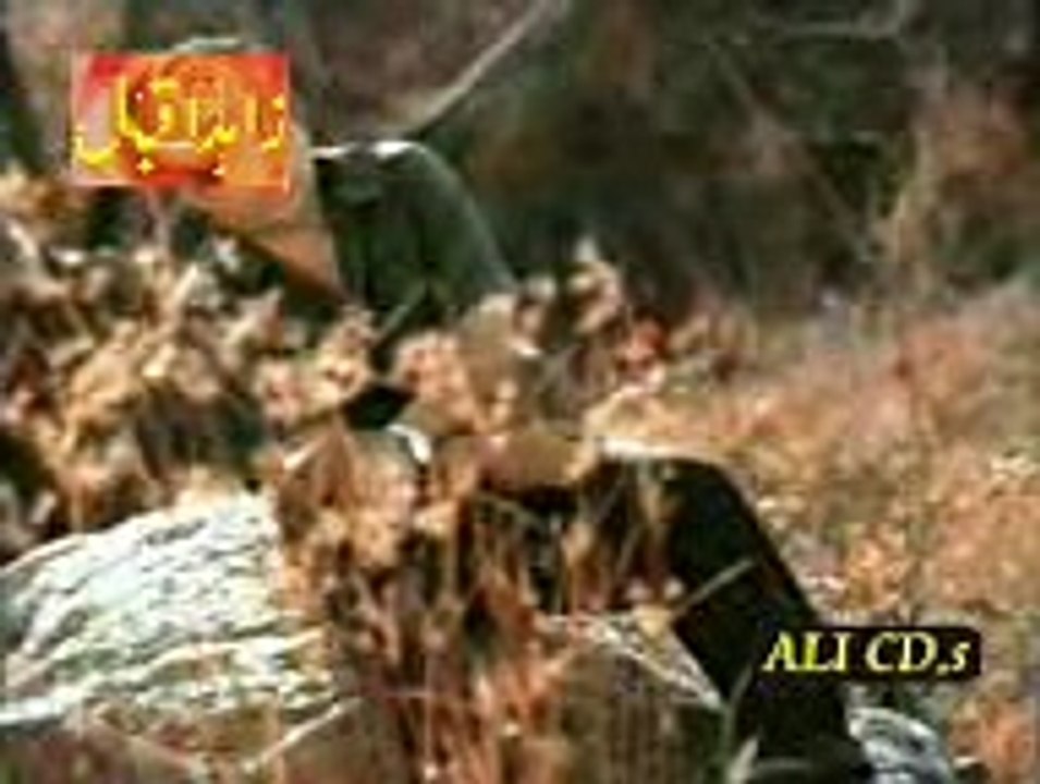 A GI NASEEB NAKLL