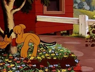 Donald Duck - The Eyes Have It