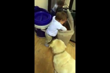 Elleriyle köpeği besleyen çocuk